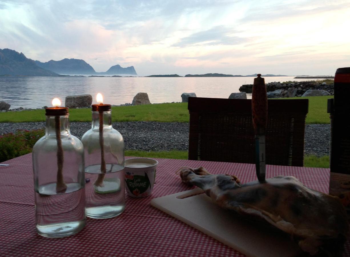 Хостел Tinebua Basecamp Senja Berg  Экстерьер фото